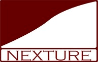 nexture consulting